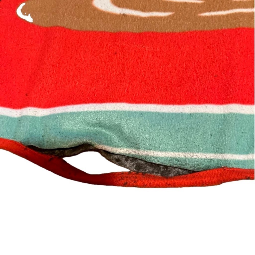 Paw Patrol Rug - Picture 5 of 11
